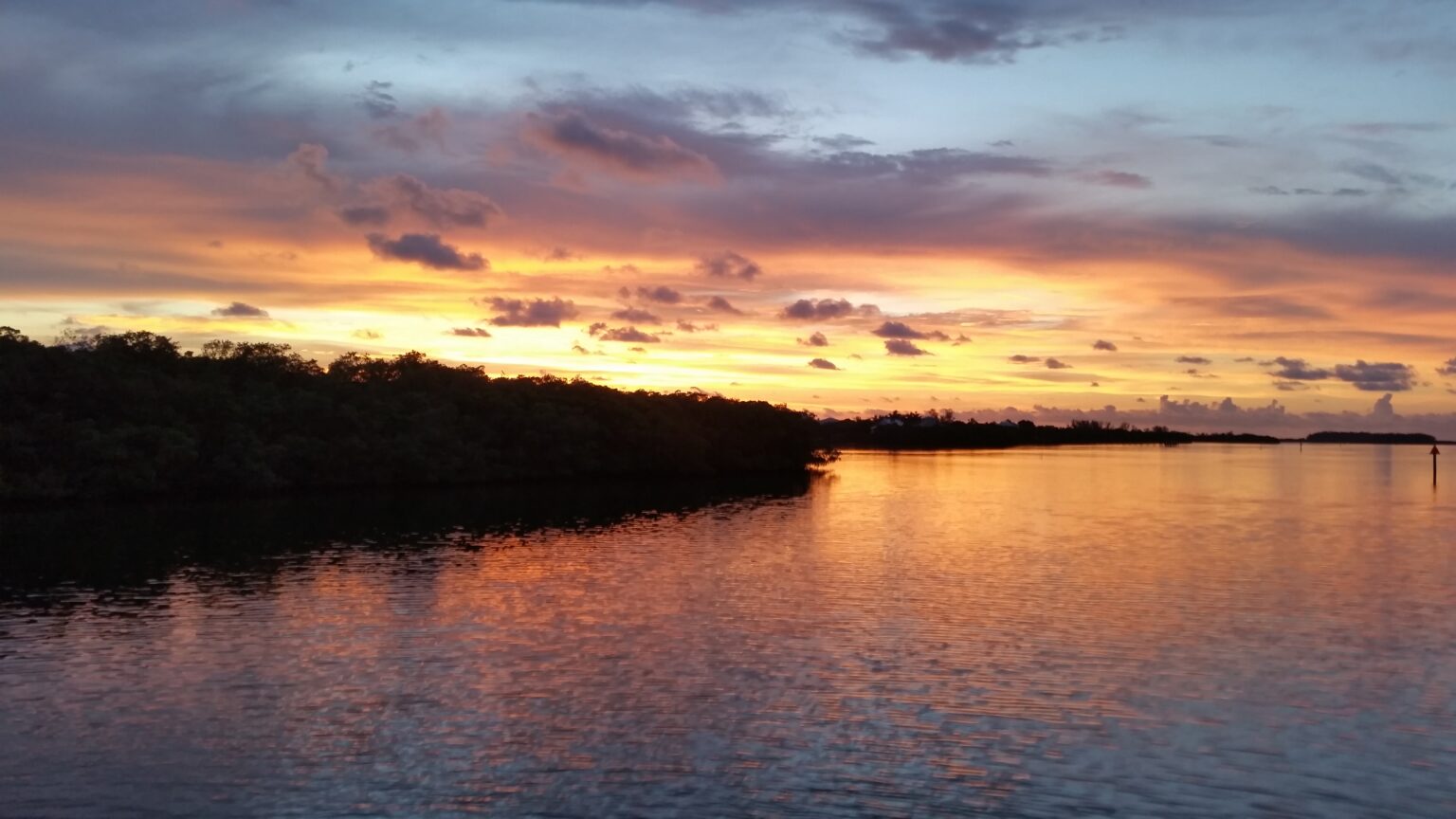 parking-palm-island-transit